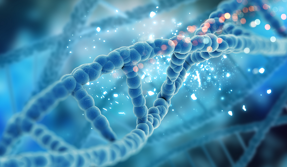 O que é DNA? Qual significado de DNA?