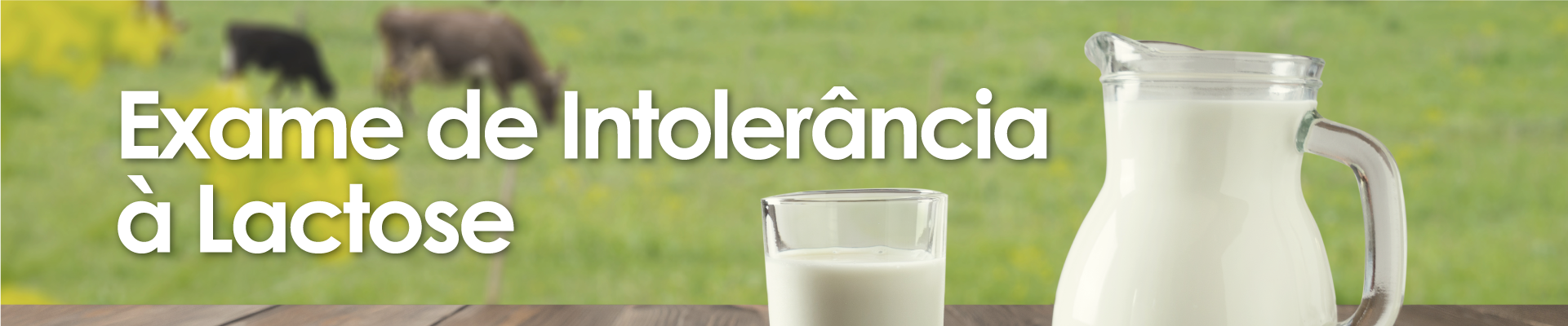 Teste de Intolerância à Lactose